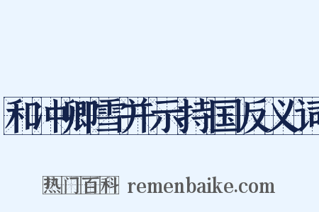 和冲卿雪并示持国反义词是什么意思的图片